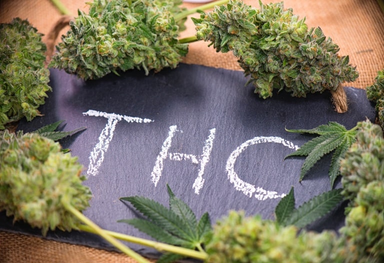 how long does thc stay in your system